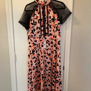 NWT Chi Chi London Dress